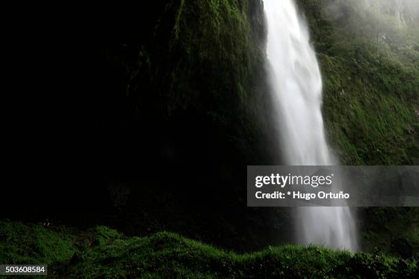 puxtla's waterfall over eighty metres high in tlatlauquitepec - mexico - en medio de la carretera photos et images de collection