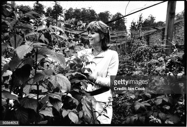 Actress Diana Rigg tending her garden.