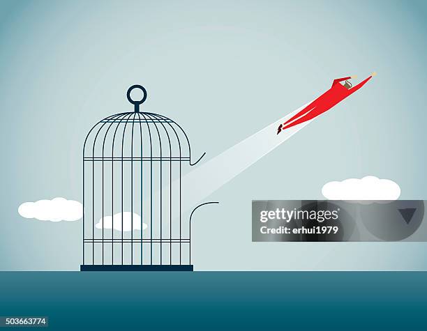 freedom - birdcage stock illustrations