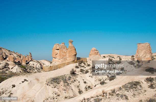 the camel, stone formation at dervet valley, cappadocia, turkey - camel rock stock pictures, royalty-free photos & images