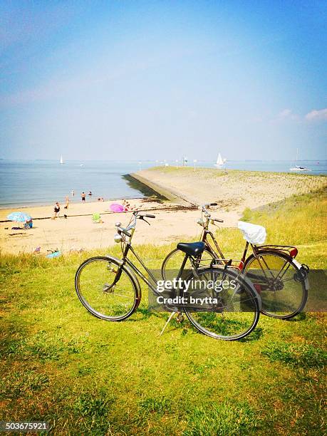 beach at the eastern scheldt - zeeland stock pictures, royalty-free photos & images