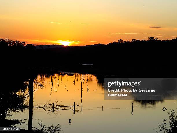 sunset - silhueta stockfoto's en -beelden