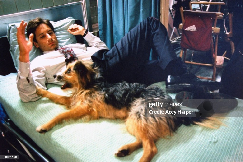 David Duchovny