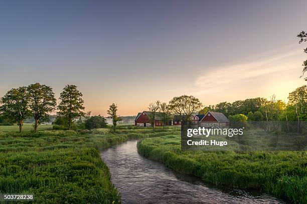 early morning - skane stockfoto's en -beelden