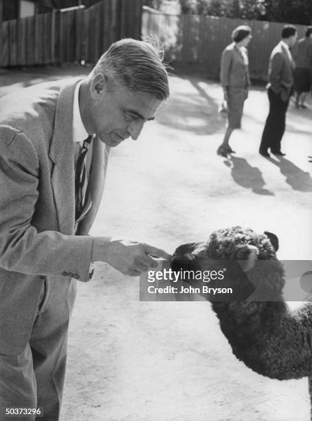 Children's book author Theodor Seuss Geisel tickling the nose of a baby camel at a zoo.