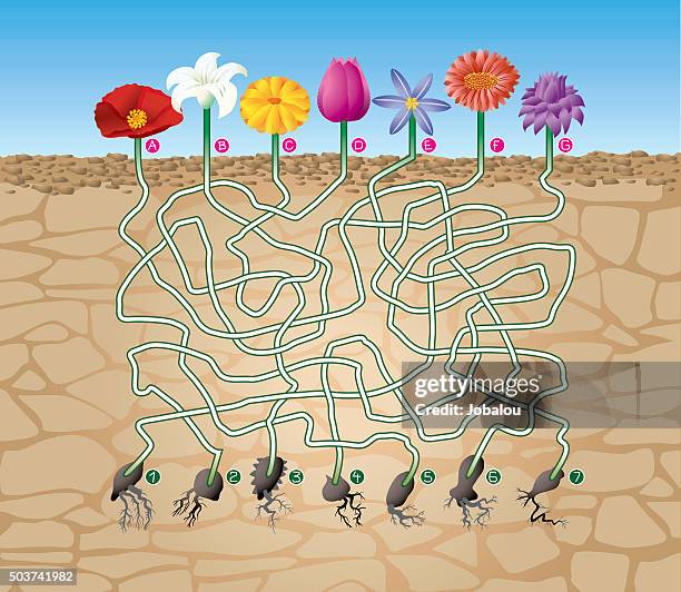 maze game what seed - street games stock illustrations