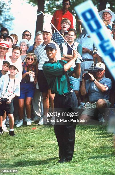 Greater Milwaukee Open. Tiger Woods in action watching shot at Brown Deer Park GC.