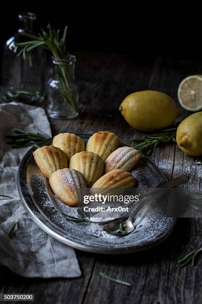 lemon rosemary madeleines - madeleine stock pictures, royalty-free photos & images