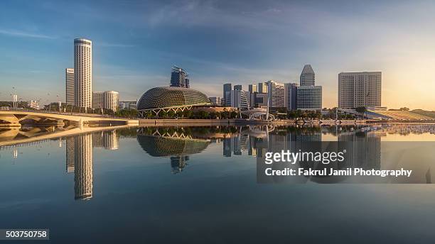 merlion park reflection, singapore - singapore imagens e fotografias de stock