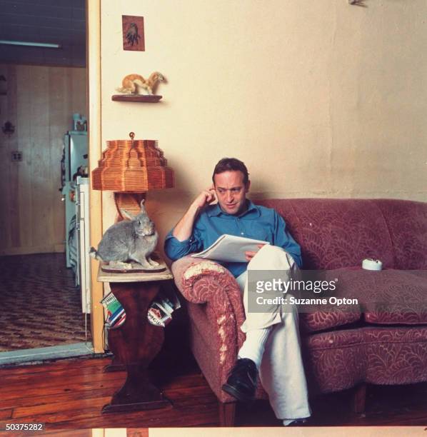 Humorist/writer David Sedaris eyeing a stuffed rabbit on end table as he sits on couch at home.