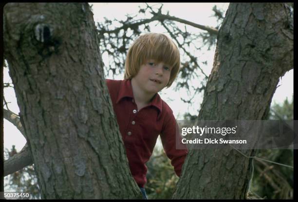 Patrick Kennedy, son of Senator Ted Kennedy, climbing tree.