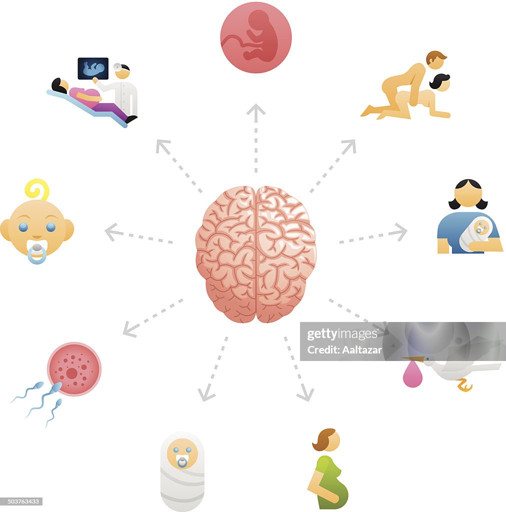 Visualizing Birth Thinking About Pregnancy Childbirth High-Res Vector Graphic - Getty Images