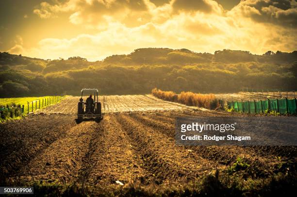 freshly ploughed field with a tractor sewing new seeds - plough stock pictures, royalty-free photos & images