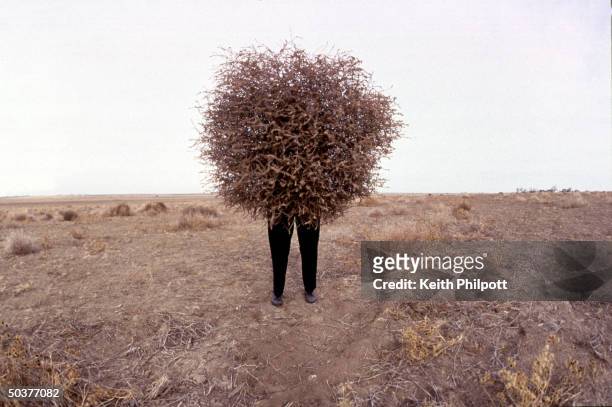 Linda Katz hiding behind tumbleweed bush, re woman who became tumbleweed farmer as part of family joke until people saw her Web page & started...