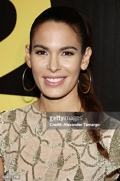 Nadine Velazquez is seen arriving at the world premiere of the film "Ride Along 2" on January 6, 2016 in Miami Beach, Florida.