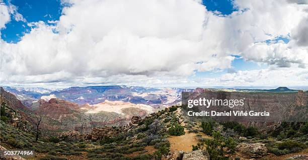 grand canyon (south rim) in desert view point - toroweap point stock pictures, royalty-free photos & images