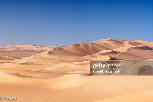 de la mer de sable, sahara, afrique - desert photos et images de collection