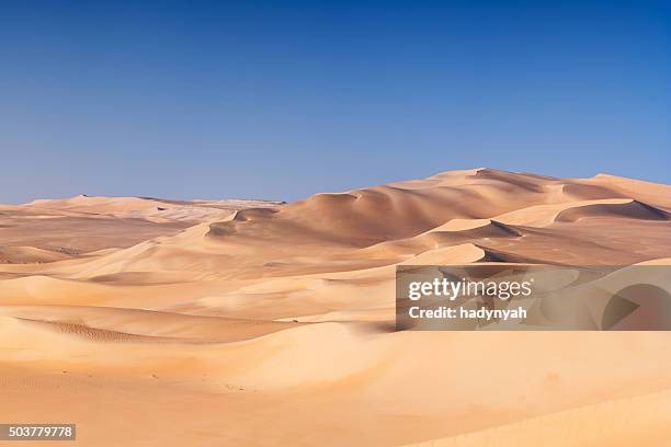 grande mare, sabbia nel deserto del sahara, africa - desert foto e immagini stock