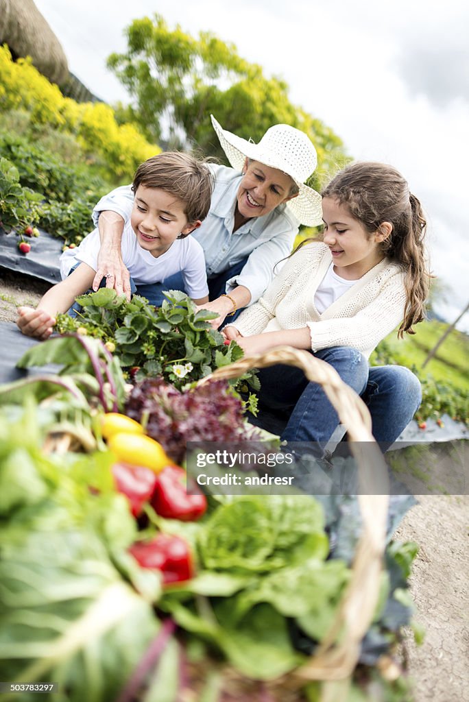 Grandma gardening with the kids