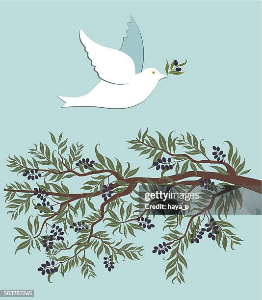 white dove flying over olive branch - passover symbols 幅插畫檔、美工圖案、卡通及圖標