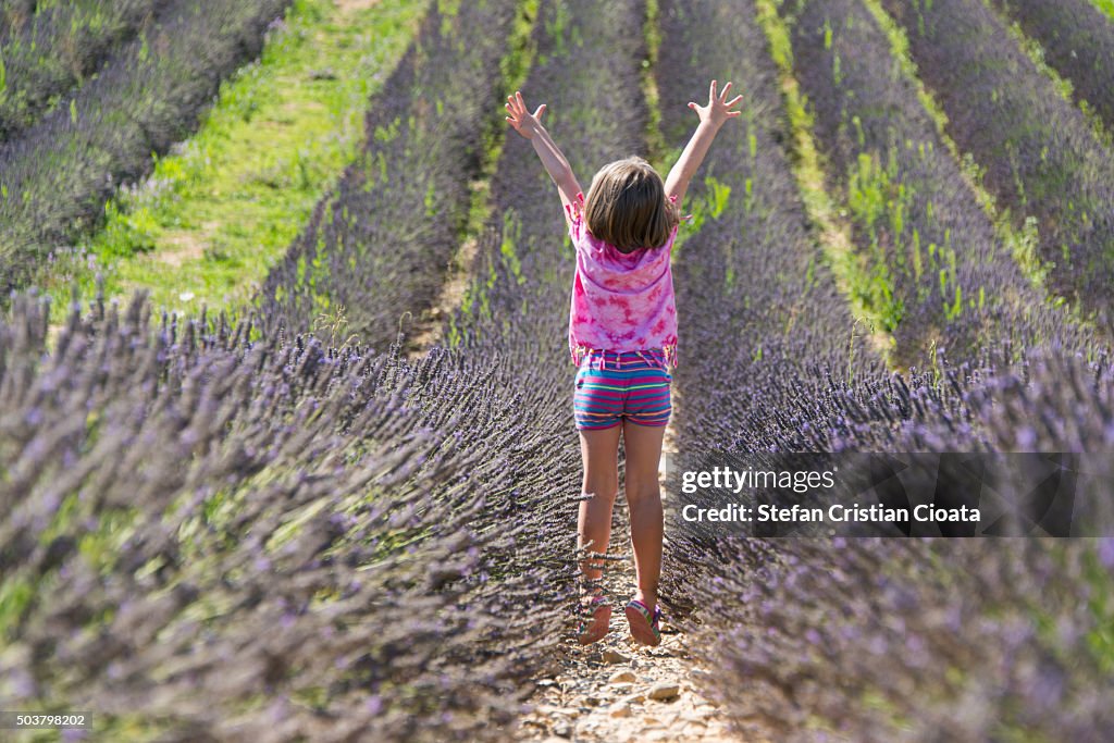 Lavender thrills