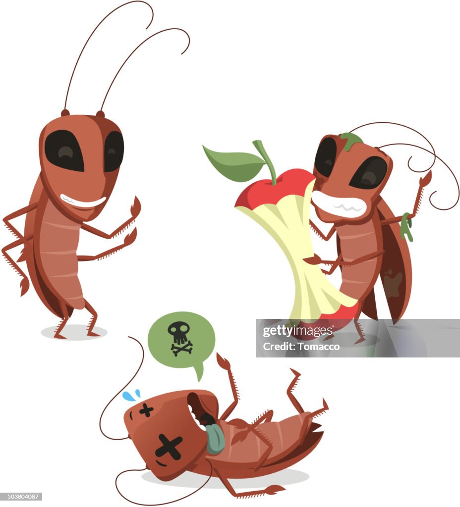 Catoon Radroach Cockroach Cartoons High-Res Vector Graphic - Getty Images