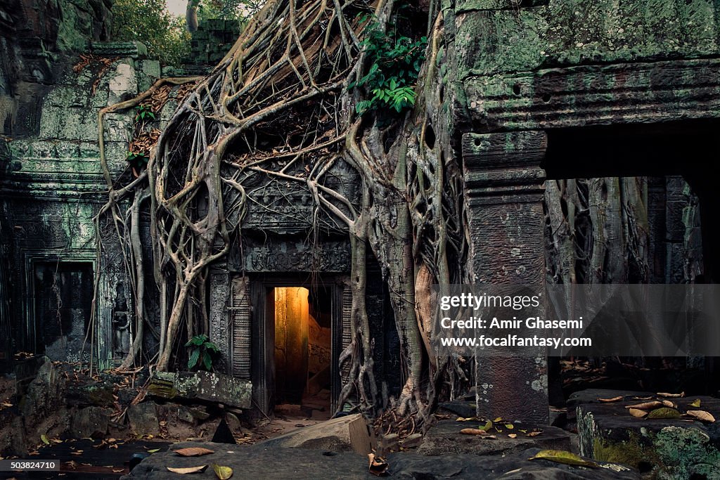 Ta Prohm Temple