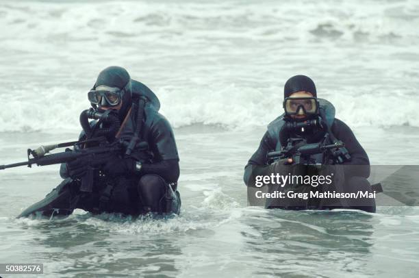 Navy SEALs, part of US Special Forces.