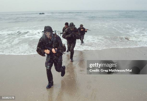 Navy SEALs, part of US Special Forces.
