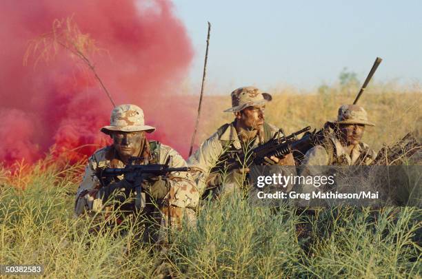 Navy SEALS, part of US Special Forces.