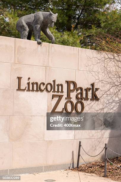 lincoln park zoo - lincoln park zoo stock pictures, royalty-free photos & images