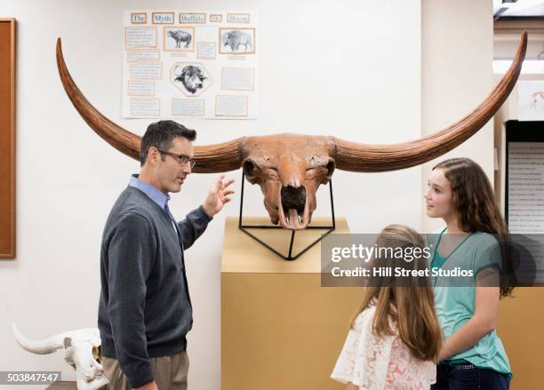 teacher showing exhibit to students in natural history museum - friends museum fotografías e imágenes de stock