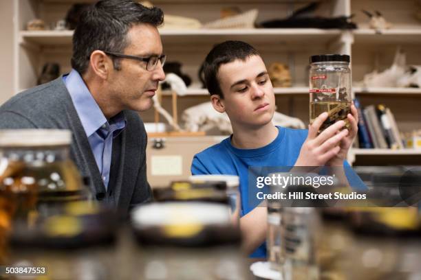 teacher and student working in natural history museum - national museum of natural science stock pictures, royalty-free photos & images