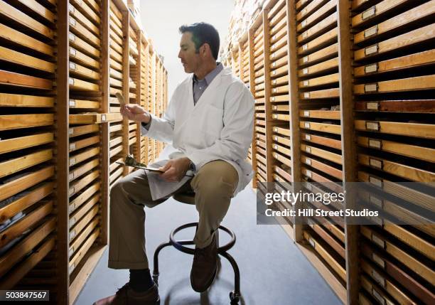 scientist working in museum archive - archivist stock pictures, royalty-free photos & images