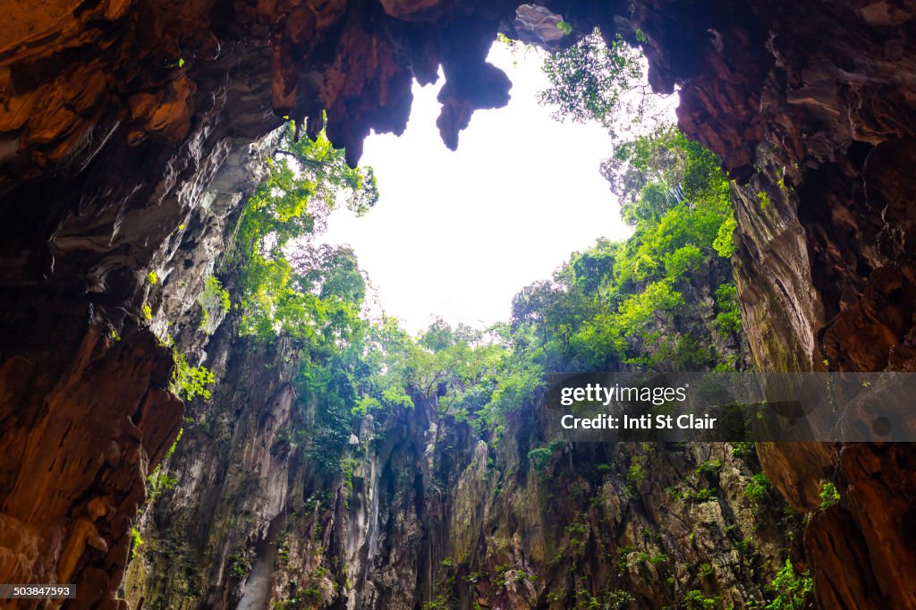 Cave opening in jungle landscape