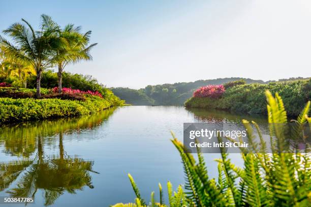 sky reflected in still tropical lake - puerto vallarta stockfoto's en -beelden