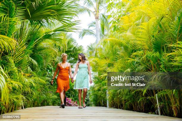 lesbian couple holding hands on tropical walkway - puerto vallarta stockfoto's en -beelden