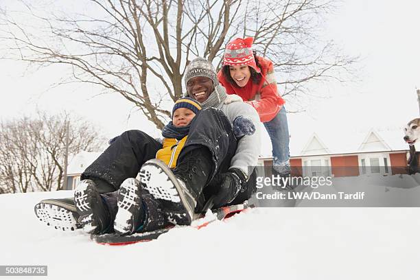 black family sledding in snow - one animal stock pictures, royalty-free photos & images