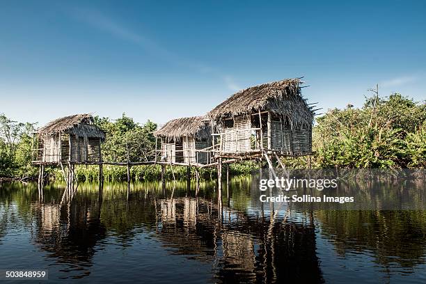 thatch houses built over rural lake - nayarit stockfoto's en -beelden