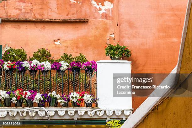 seville, colors and flowers - francesco riccardo iacomino spain stock pictures, royalty-free photos & images