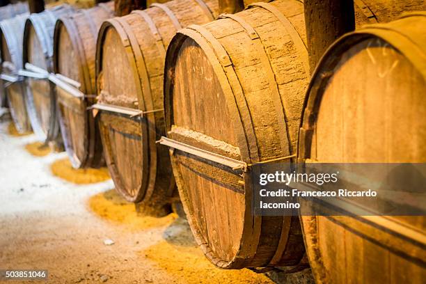 sherry wine barrels - francesco riccardo iacomino spain stock pictures, royalty-free photos & images