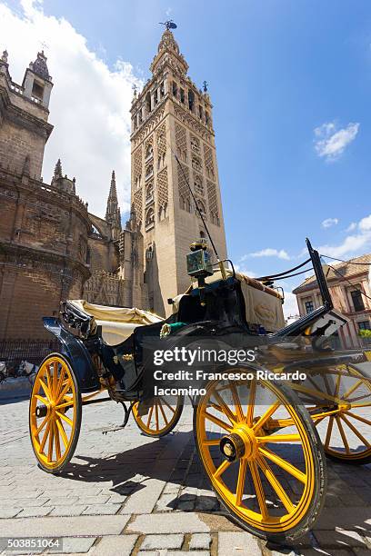 seville cathedral, spain - francesco riccardo iacomino spain stock pictures, royalty-free photos & images