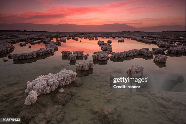 Israel, Sunrise over crystals in Dead Sea