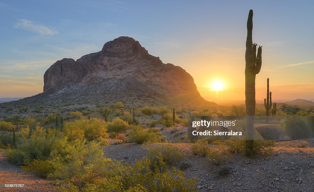 USA, Arizona, Eagletail Mountains Wilderness, Springtime Sunrise in Desert