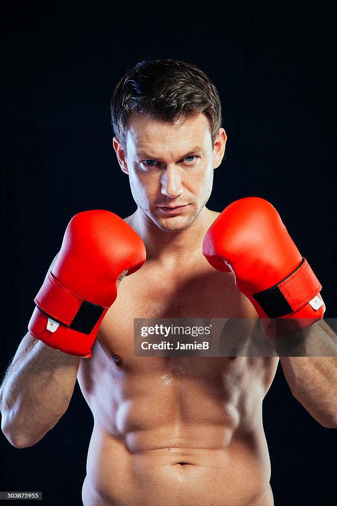 Portrait of a male boxer