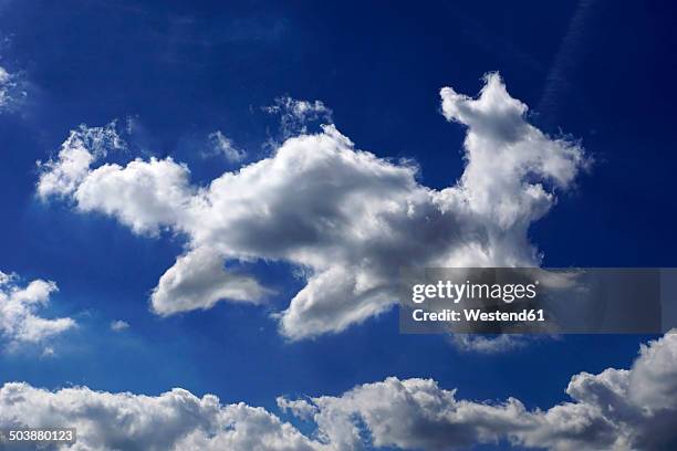 germany, north rhine-westphalia, cloud formation in form of a dog - cloud shape stock pictures, royalty-free photos & images