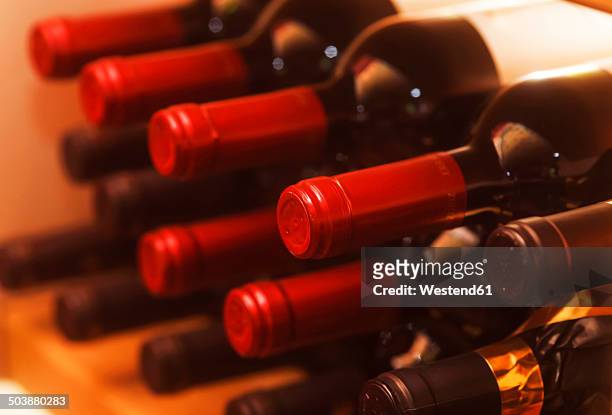 shelf with red wine bottles - statussymbol bildbanksfoton och bilder