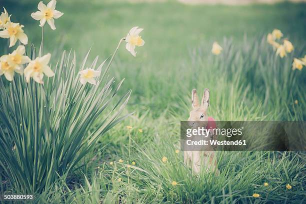 easter bunny in garden - bunny eggs stock-fotos und bilder