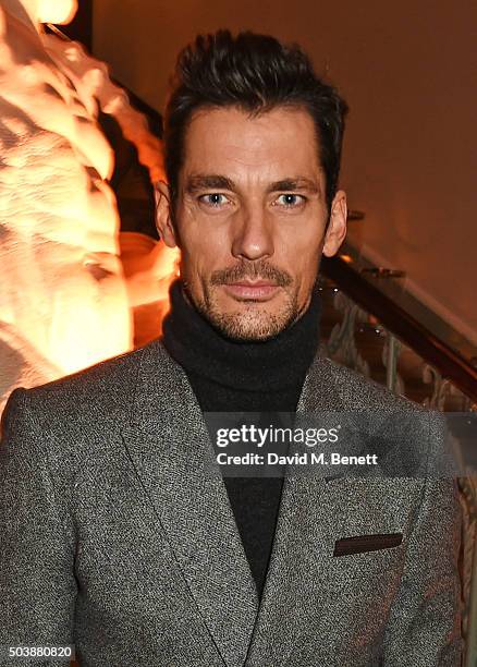 David Gandy attends the London Collections Men AW16 opening party hosted by the British Fashion Council and GQ Editor Dylan Jones at Spencer House on...