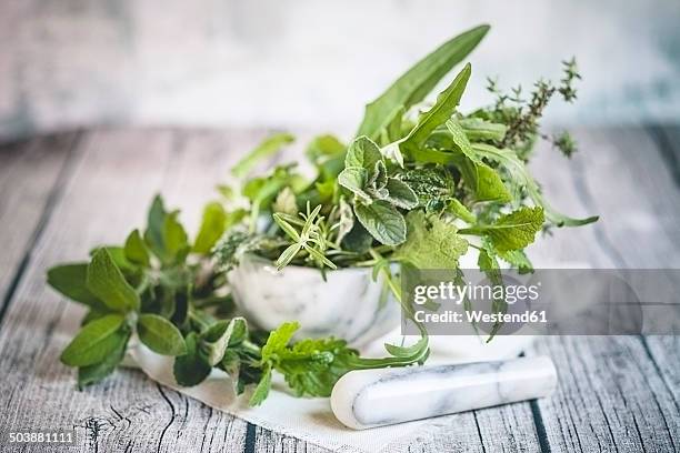 different culinary herbs in a mortar - erva cidreira imagens e fotografias de stock